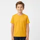 Yellow__© 2026 VIANGELS™. All Rights Reserved