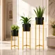 Gold & Black__Saha Industry
