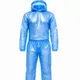 Blue__THE HUB INC