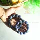 Multicolor__MAITRI EXPORT