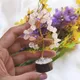 Multicolor__MAITRI EXPORT
