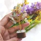 Multicolor__MAITRI EXPORT