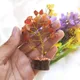 Multicolor__MAITRI EXPORT