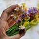 Multicolor__MAITRI EXPORT