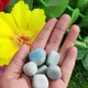 Multicolor__MAITRI EXPORT