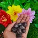 Multicolor__MAITRI EXPORT