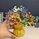 Multicolor__MAITRI EXPORT