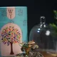 Multicolor__MAITRI EXPORT