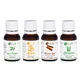 Natural__NATURALIS