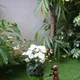 Multicolor__PLANTER WALA
