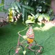 Multicolor__PLANTER WALA