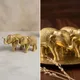 Golden
