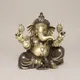 Golden With Bronze Accents__SAMPOORNAM
