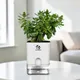 White__SUREKHA AGRO PRODUCTS