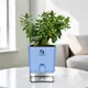 Blue__SUREKHA AGRO PRODUCTS