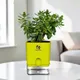 Green__SUREKHA AGRO PRODUCTS