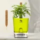 Green__SUREKHA AGRO PRODUCTS