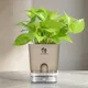Brown__SUREKHA AGRO PRODUCTS