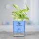 Blue__SUREKHA AGRO PRODUCTS