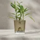 Brown__SUREKHA AGRO PRODUCTS