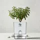 White__SUREKHA AGRO PRODUCTS
