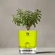 Green__SUREKHA AGRO PRODUCTS