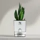 White__SUREKHA AGRO PRODUCTS