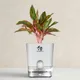 White__SUREKHA AGRO PRODUCTS