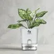 White__SUREKHA AGRO PRODUCTS