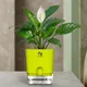 Green__SUREKHA AGRO PRODUCTS
