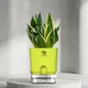 Green__SUREKHA AGRO PRODUCTS