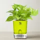 Green__SUREKHA AGRO PRODUCTS