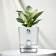 White__SUREKHA AGRO PRODUCTS