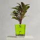 Green__SUREKHA AGRO PRODUCTS