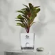 White__SUREKHA AGRO PRODUCTS