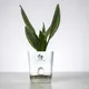 White__SUREKHA AGRO PRODUCTS