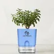Blue__SUREKHA AGRO PRODUCTS