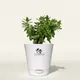 Aquanest__SUREKHA AGRO PRODUCTS