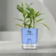 Blue__SUREKHA AGRO PRODUCTS