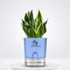 Blue__SUREKHA AGRO PRODUCTS