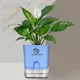 Blue__SUREKHA AGRO PRODUCTS