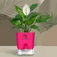 Pink__SUREKHA AGRO PRODUCTS