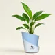 Sky Blue__SUREKHA AGRO PRODUCTS