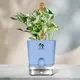 Blue__SUREKHA AGRO PRODUCTS