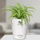 Aquanest__SUREKHA AGRO PRODUCTS