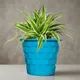 Blue__SUREKHA AGRO PRODUCTS