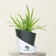 Black__SUREKHA AGRO PRODUCTS