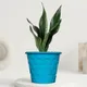 Blue__SUREKHA AGRO PRODUCTS