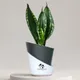Black__SUREKHA AGRO PRODUCTS