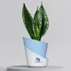 Sky Blue__SUREKHA AGRO PRODUCTS
